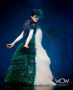 Wearable Arts Entry - Kahu Kereru