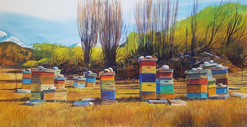 Beehives Matukituki Valley; Sml 5/100