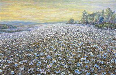 Luminous Daisies by Raquel Clarke