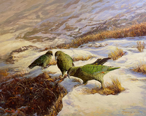 Kea Mischief