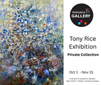 Tony Rice - Private Collection