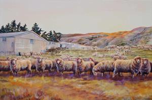 Counting Sheep