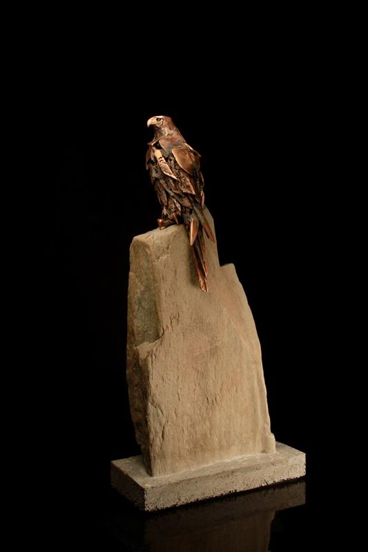 Falcon Study - Patience