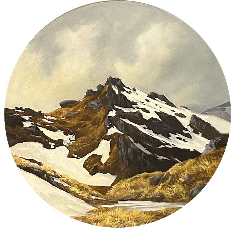 Winter Tussock - Pisa